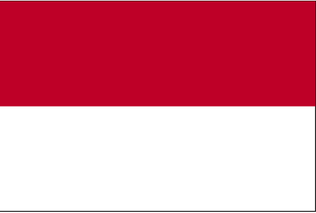 دانشگاه های کشور اندونزی